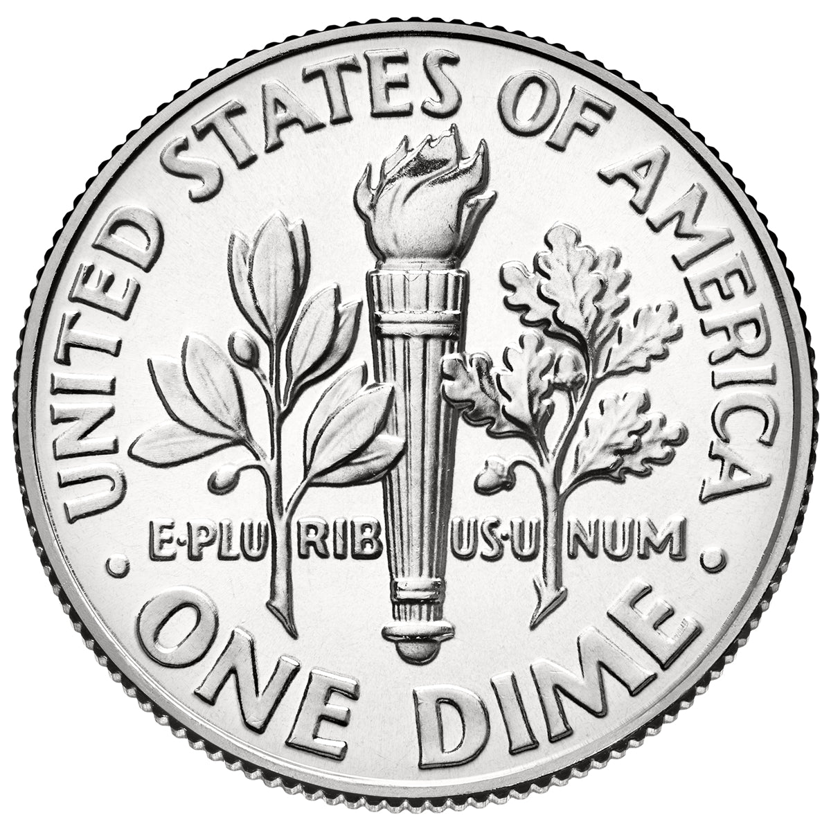 2024 - P Roosevelt Dime 50 Coin Roll