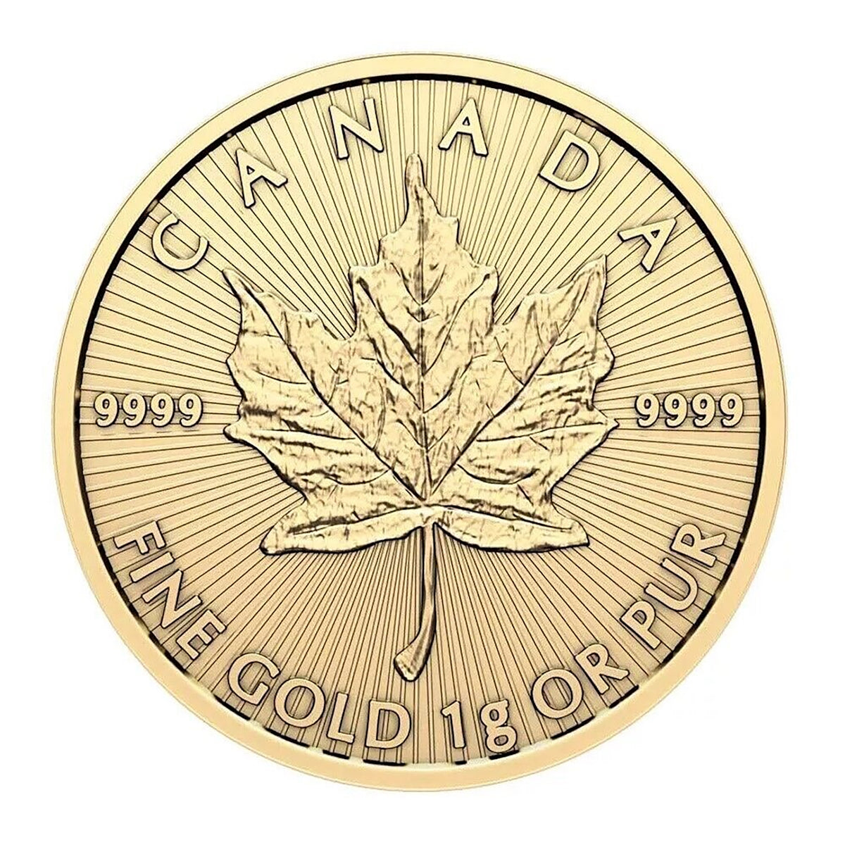 2024 1 Gram Gold Maple Leaf 50 Cent Coin In Maplegram Assay Card King Charles Effigy
