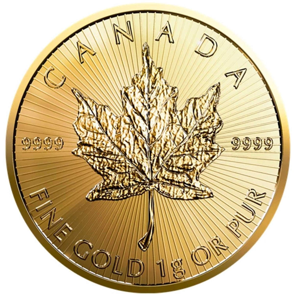 2024 1 Gram Gold Maple Leaf 50 Cent Coin In Maplegram Assay Card King Charles Effigy