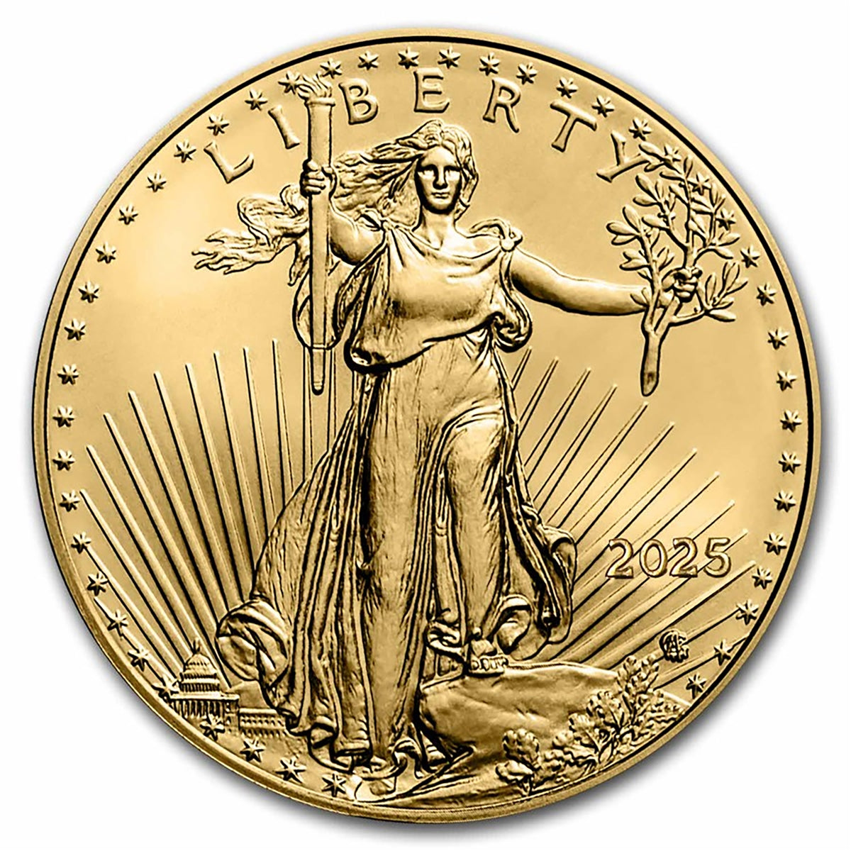2025 American Gold Eagle 1/10th Ounce Gold Coin .9167 Fine Gold in Black Tetra Holder