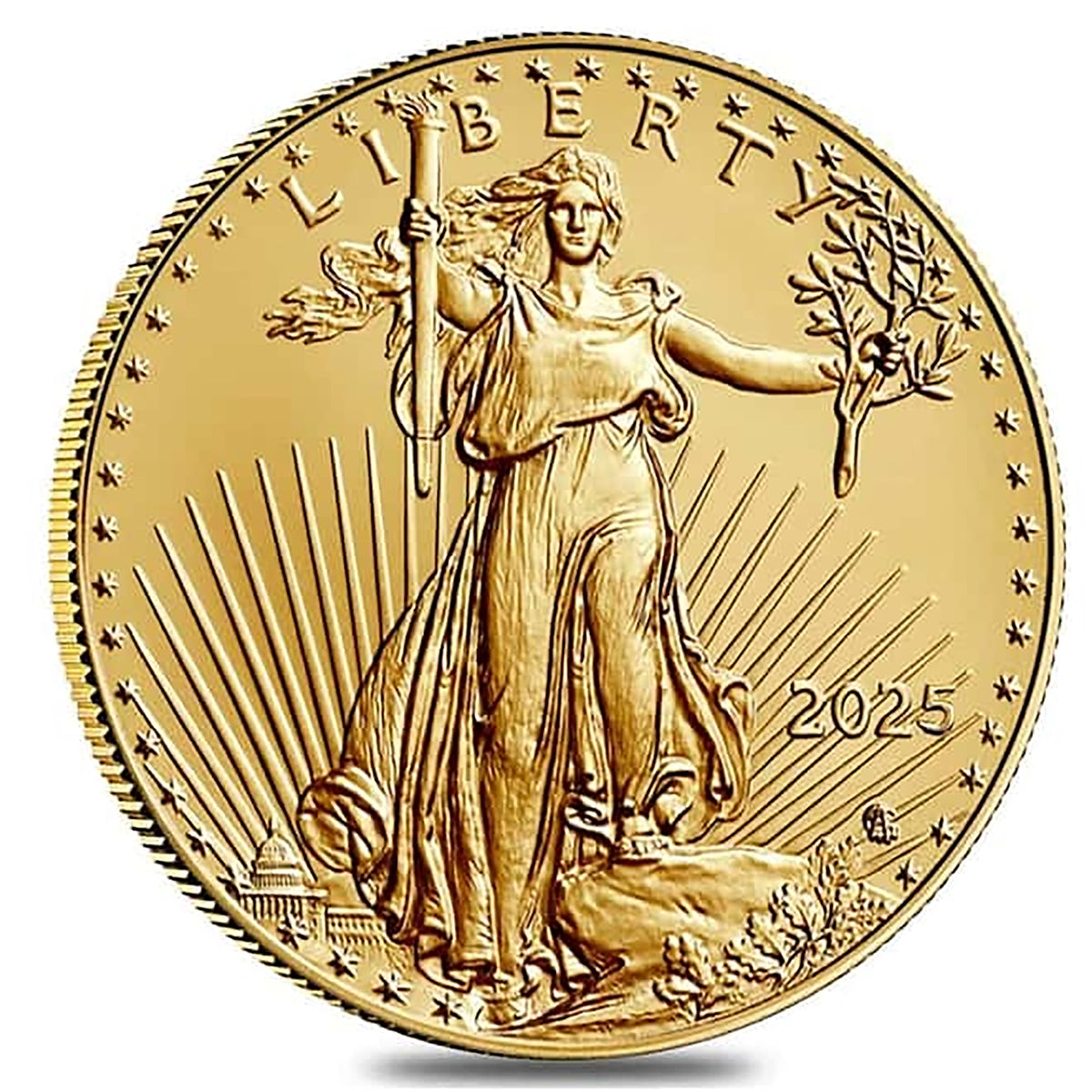 2025 American Gold Eagle 1/10th Ounce Gold Coin .9167 Fine Gold in Black Tetra Holder