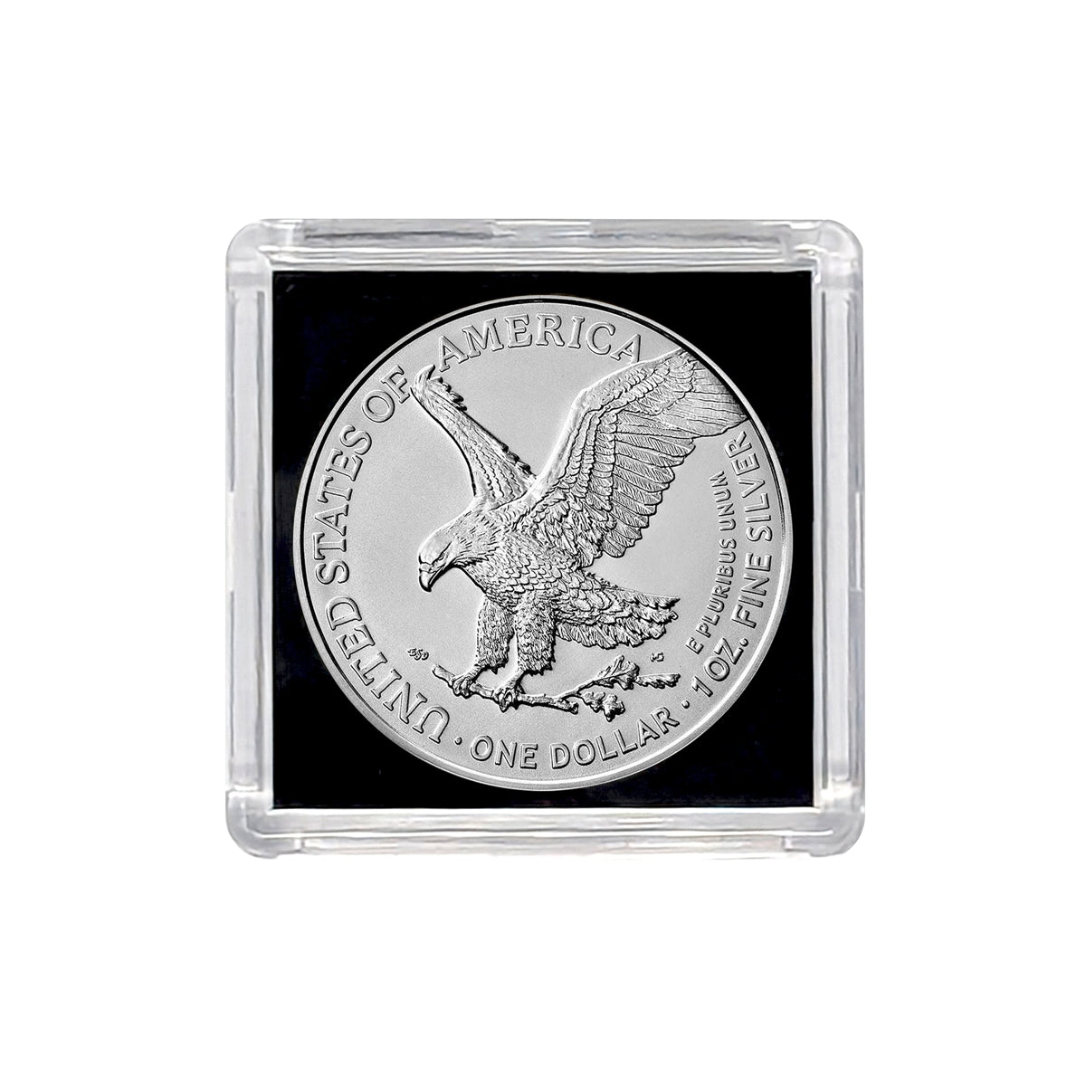 2025 American Silver Eagle .999 Fine Silver in Black Background Snap Tight Square Holder