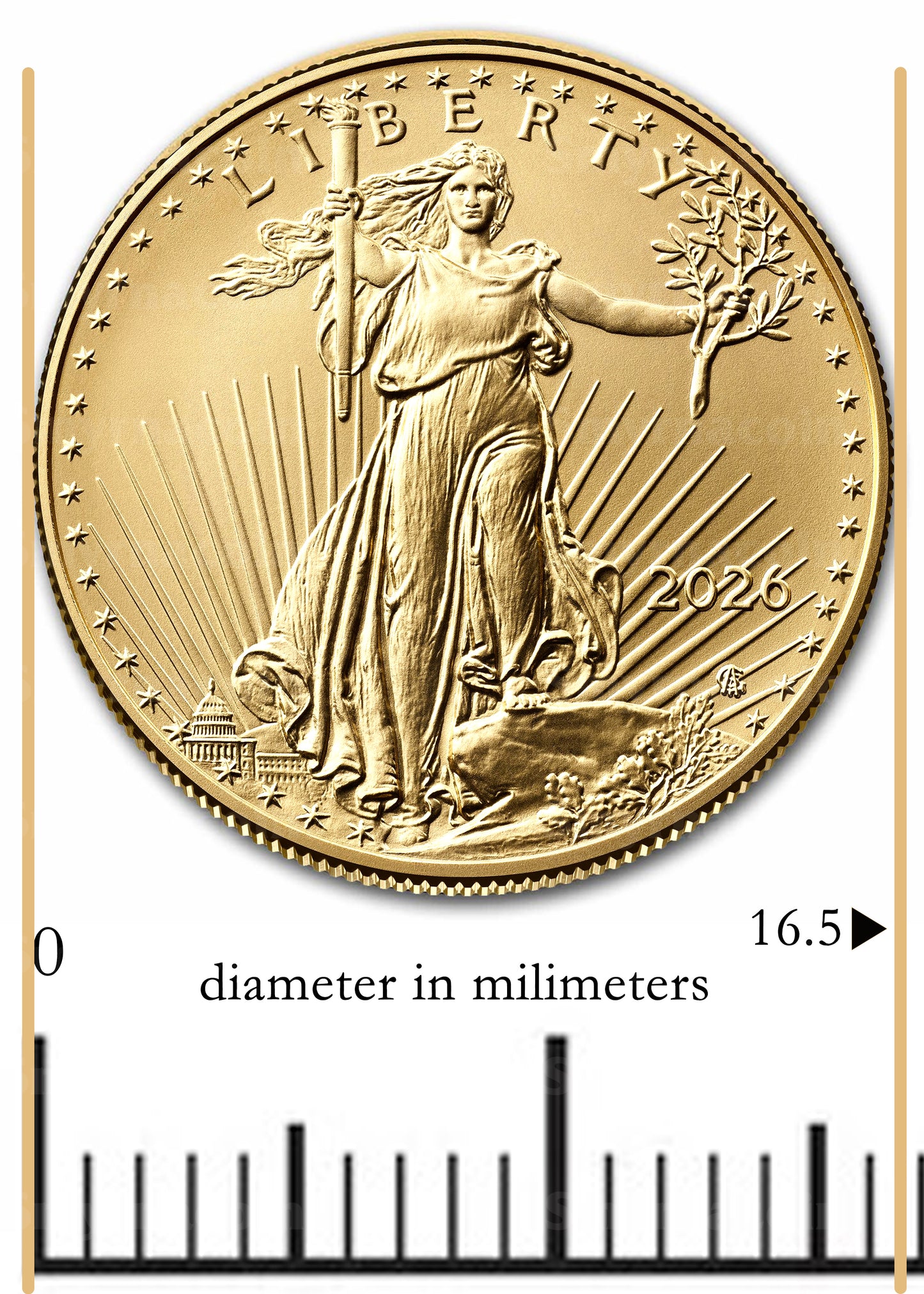 2026 American Gold Eagle 1/10th Ounce Gold Coin .9167 Fine Gold in Black Tetra Holder