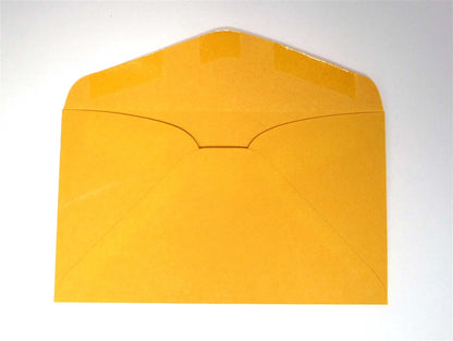 Pack of 10 Generic US Mint Envelope for Pre-1965 Mint and Proof Sets